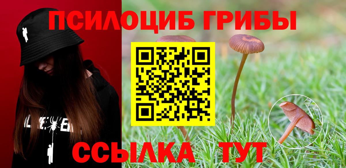 Псилоцибиновые грибы GOLDEN TEACHER  Вход с VPN  Псилоцибиновые грибы ЛСД  Елец 