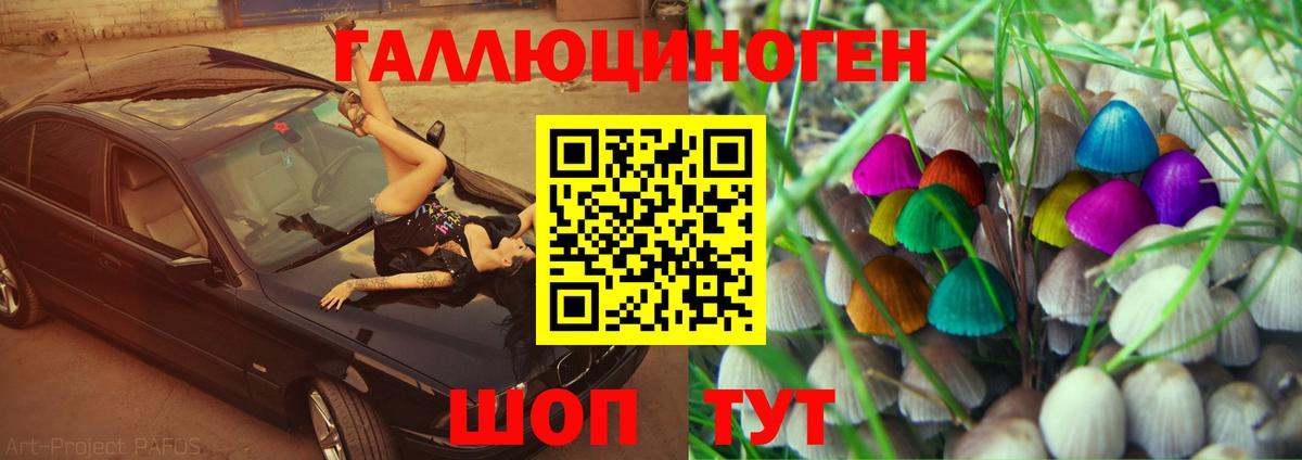 Галлюциногенные грибы Psilocybine cubensis Елец